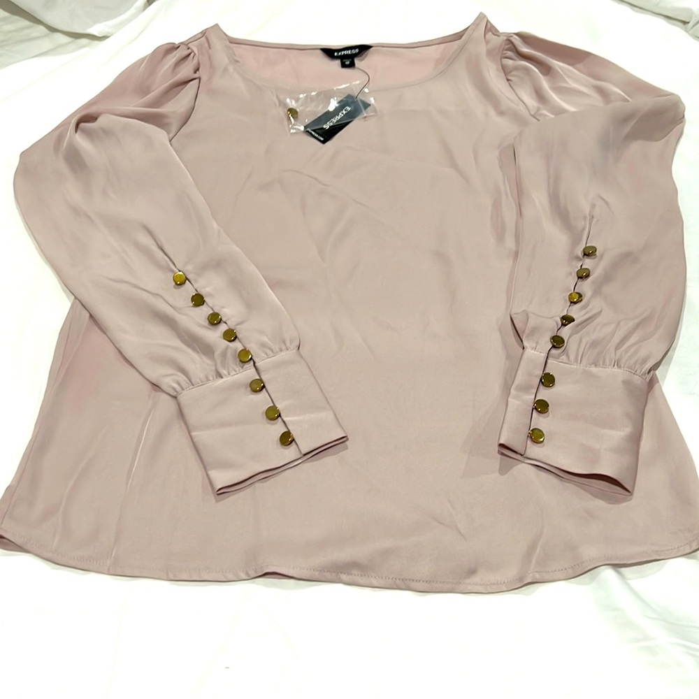 NWT- Express blouse Sz XS Dusty pink, long sleeve